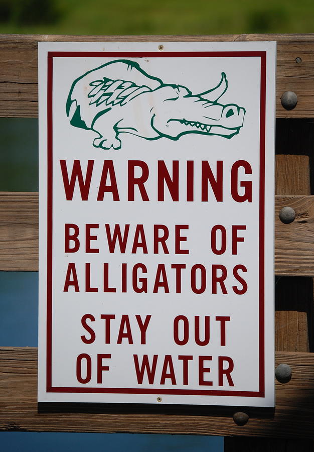 Alligator Photograph -  Warning Sign by Kathy Gibbons