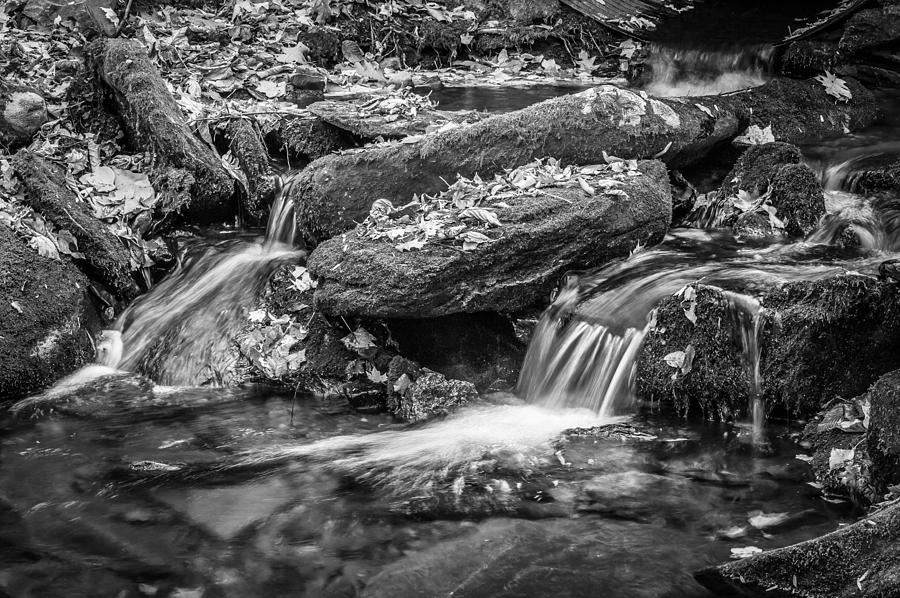 National Parks Photograph -  Waterfall Great Smoky Mountains Painted BW    by Rich Franco