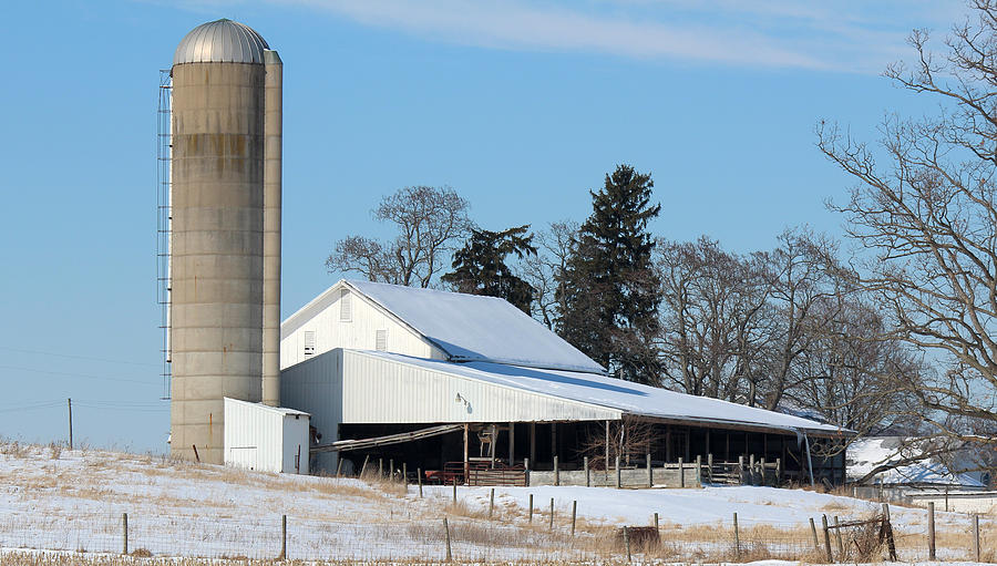 Wayne County Photograph -   Wayne County Dairy Farm by R A W M  