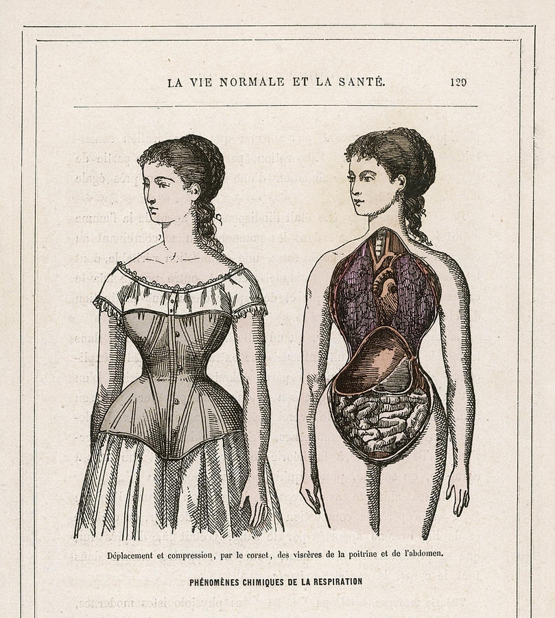 What A Corset Does For, And To A Girl Drawing by Mary Evans Picture