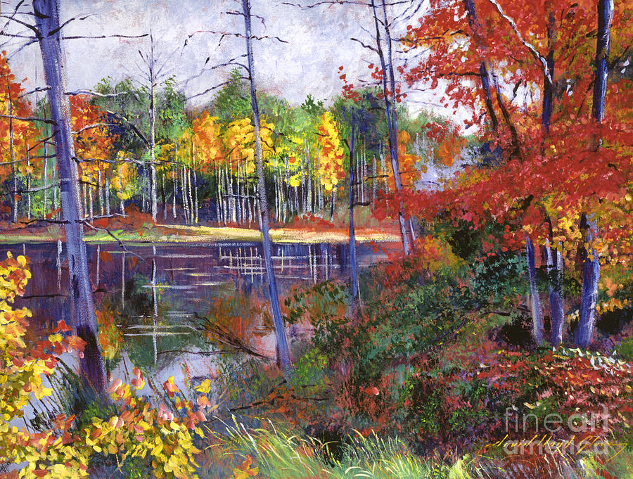 Tree Painting -  Wilderness Lake by David Lloyd Glover