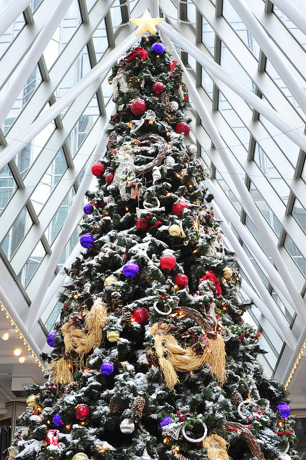  Wintergarden Christmas Tree Pittsburgh Photograph by Terry DeLuco