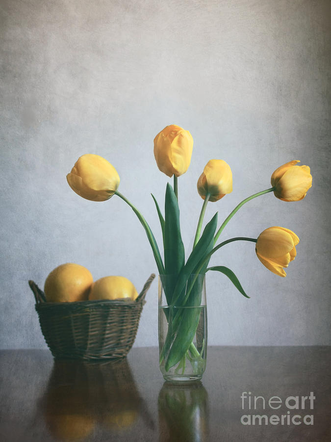 Tulip Photograph -  Yellow tulips by Diana Kraleva