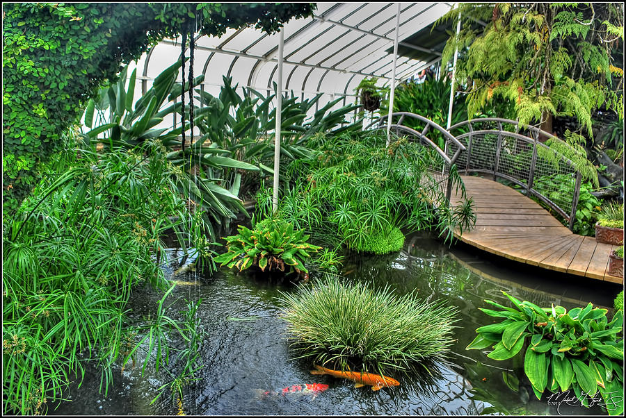 001 Within the Rain Forest Buffalo Botanical Gardens Series Photograph by Michael Frank Jr