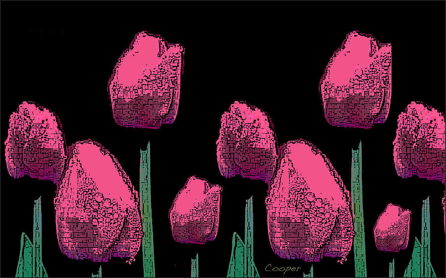 010 Hot Pink Tulips 2A Digital Art by Peggy Cooper-Hendon