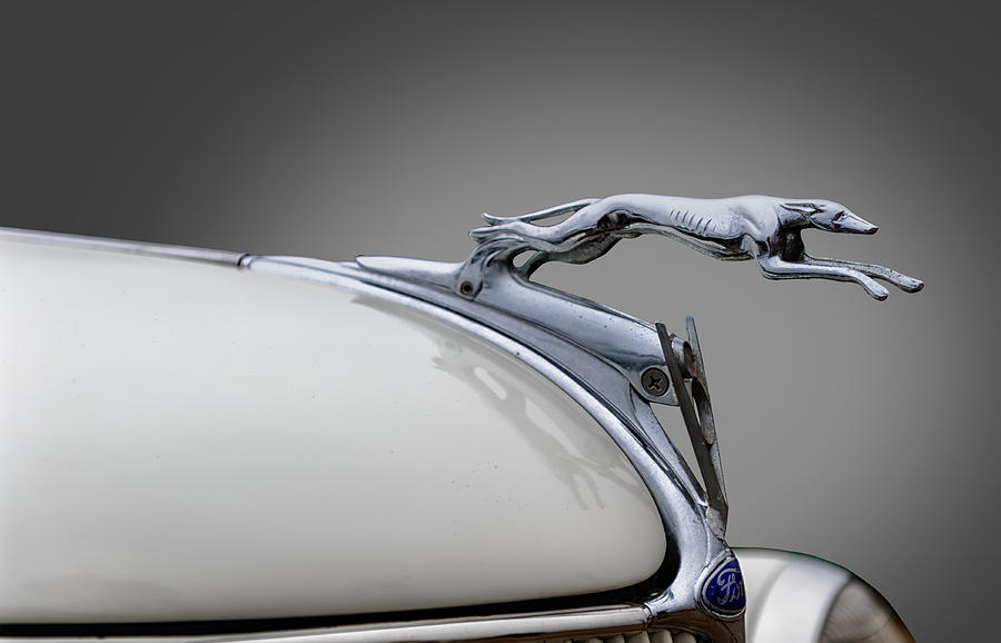 1936 Ford Greyhound Hood Ornament Photograph by Frank J Benz