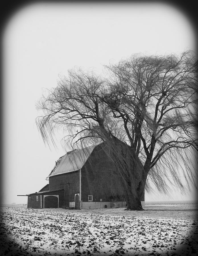 Winter Photograph - 020213-67   Prairie Winter II by Mike Davis