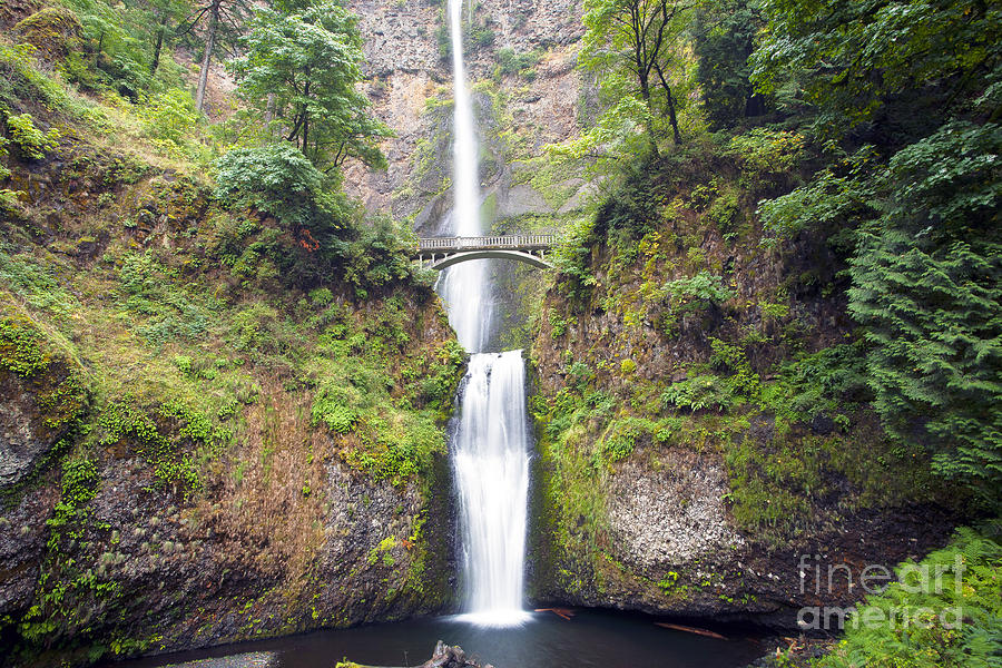 0235 Multnomah Falls Oregon Photograph by Steve Sturgill