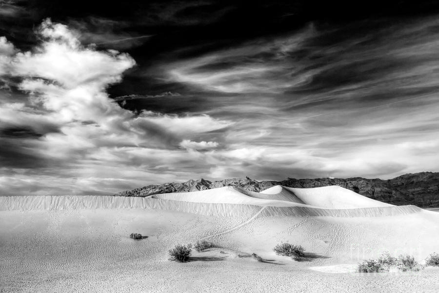0293 Death Valley Sand Dunes Photograph by Steve Sturgill