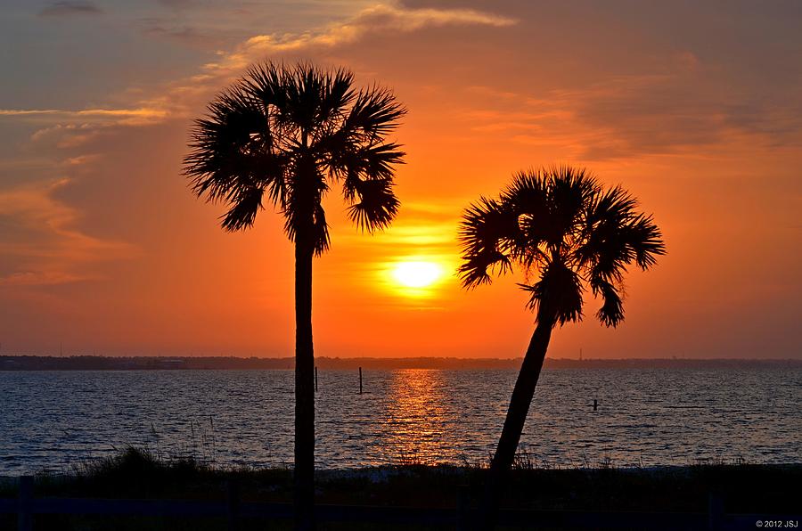 0602 Pair of Palms at Sunrise Photograph by Jeff at JSJ Photography