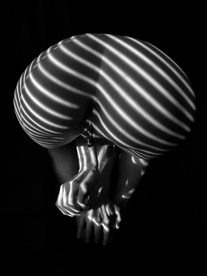 0850 Stripe Series   Photograph by Chris Maher