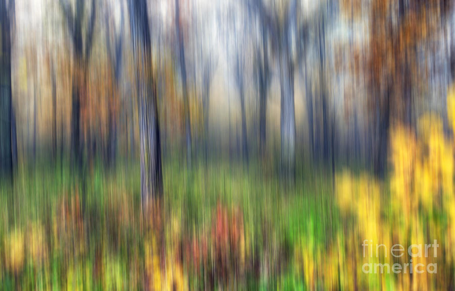 0903 Fall Abstract - Starved Rock Photograph by Steve Sturgill