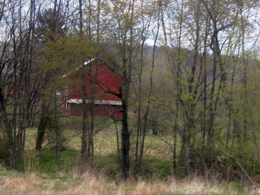    Red Country Barn Photograph by R A W M  