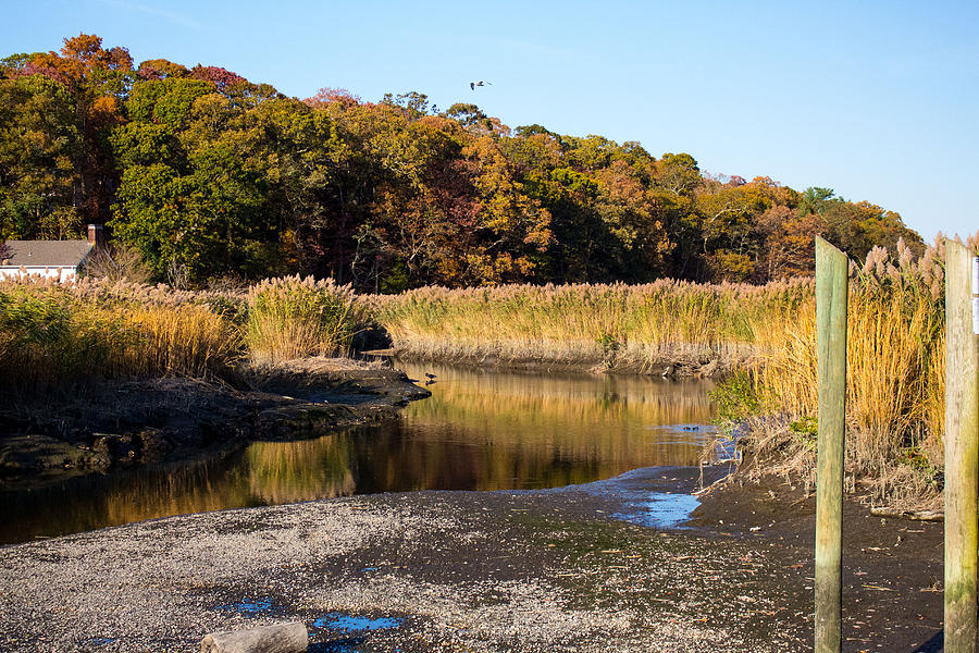  Fall Foliage at Nissequogue River #1 Photograph by Susan Jensen