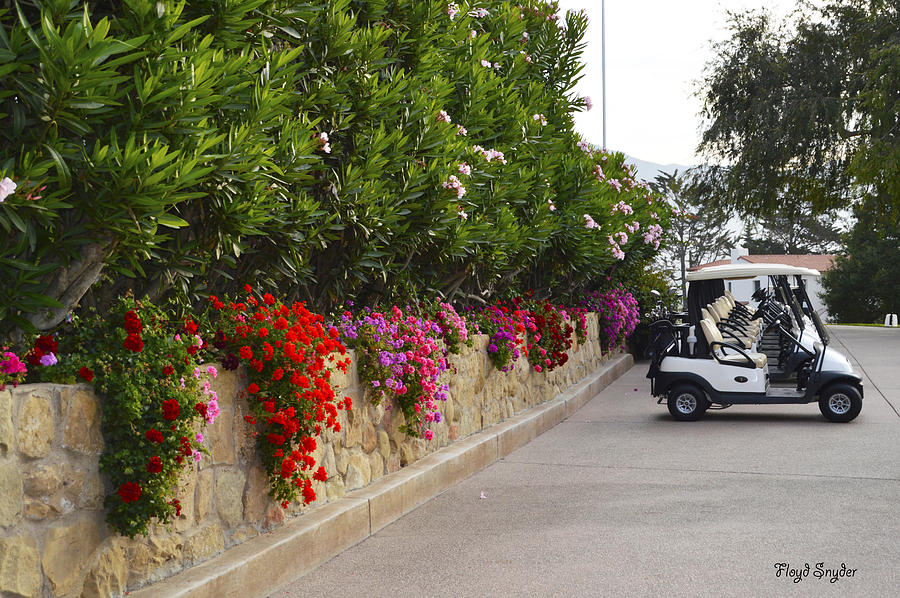  La Cumbre Golf Carts #1 Photograph by Floyd Snyder