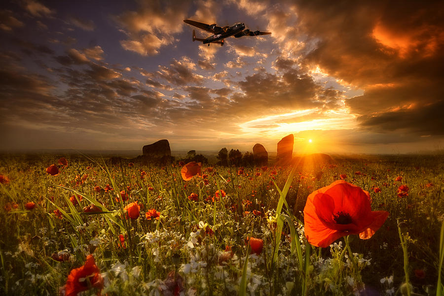  Lest we Forget #1 Photograph by Jason Green