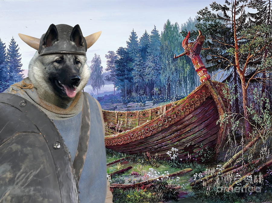  Norwegian Elkhound Art Canvas Print  #1 Painting by Sandra Sij