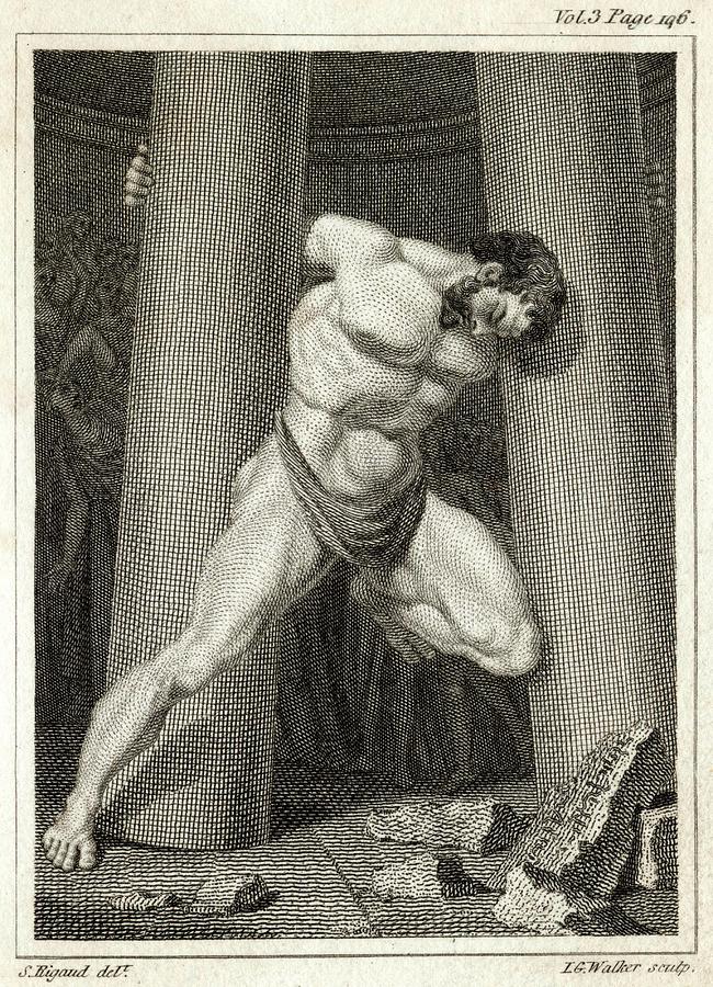 Samson fights a lion. Vector drawing - Stock Illustration [77024911] - PIXTA