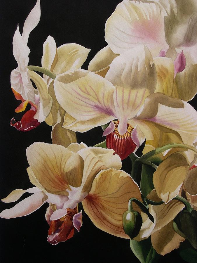  Yellow Orchids  Painting by Alfred Ng