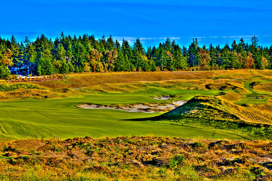 Golf Photograph - #13 at Chambers Bay Golf Course - Location of the 2015 U.S. Open Tournament #1 by David Patterson