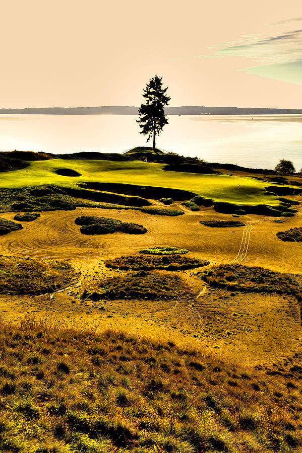 Golf Photograph - #15 at Chambers Bay Golf Course - Location of the 2015 U.S. Open Tournament #1 by David Patterson