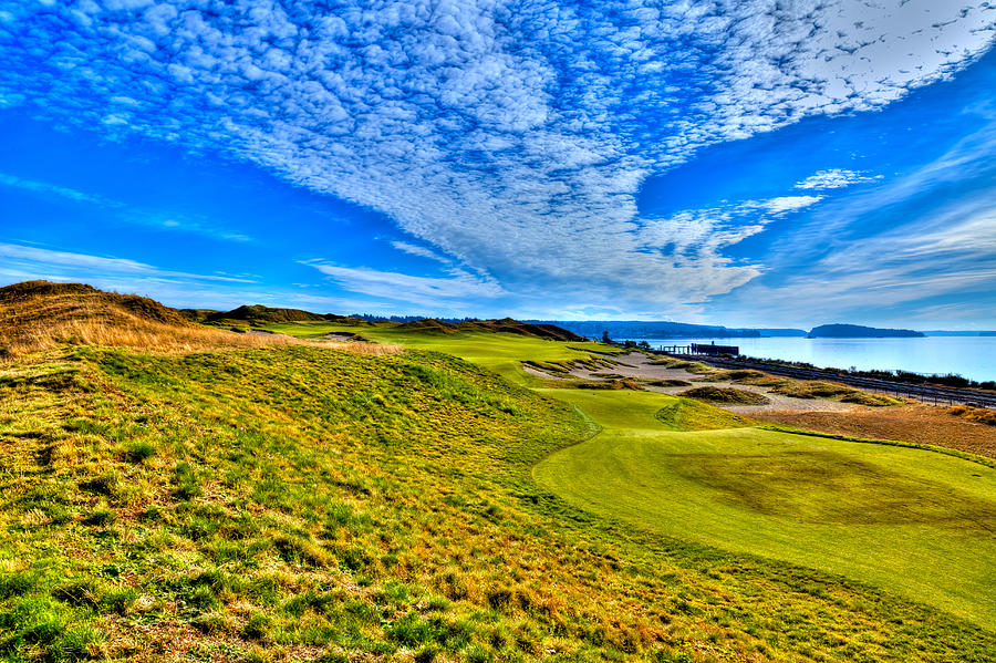 #16 at Chambers Bay Golf Course - Location of the 2015 U.S. Open Championship #1 Photograph by David Patterson