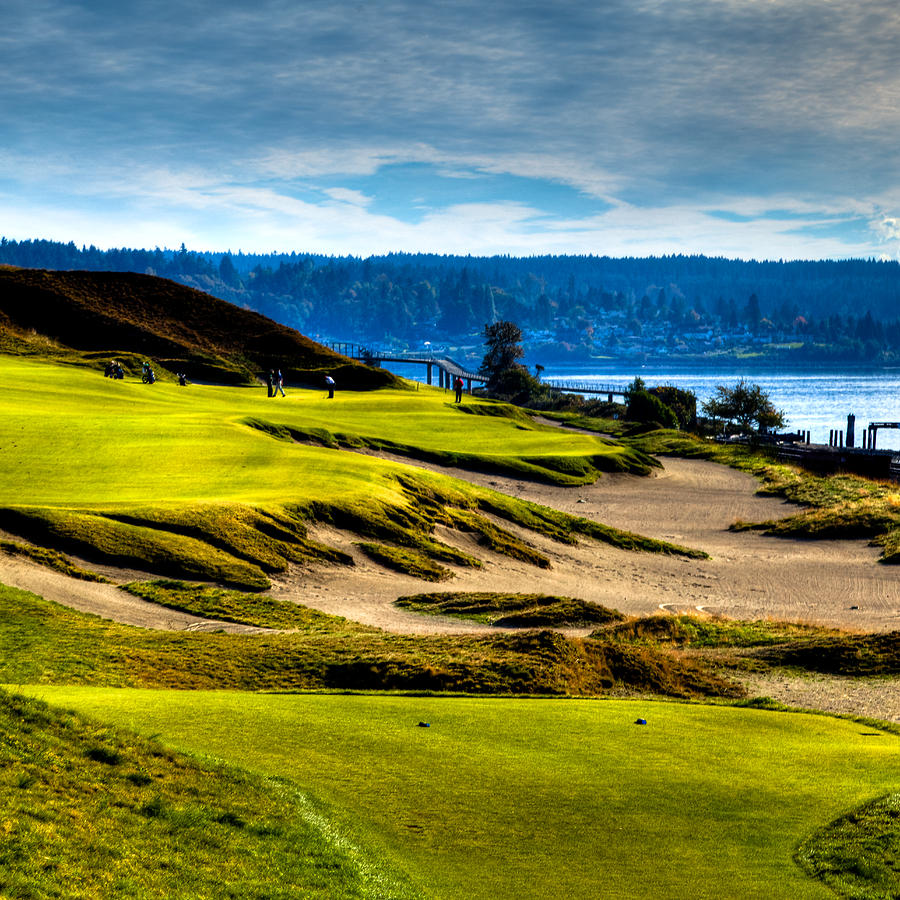 #16 at Chambers Bay Golf Course - Location of the 2015 U.S. Open Tournament #1 Photograph by David Patterson