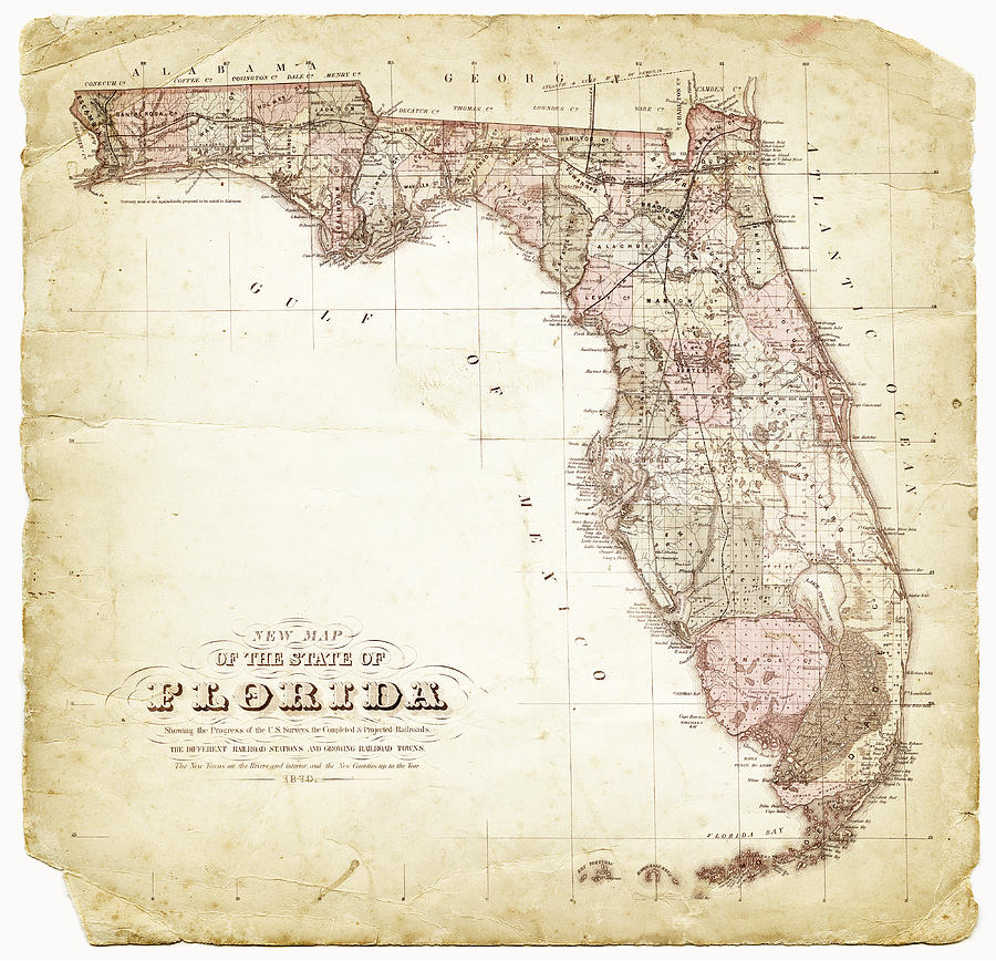 1870 Map Of Florida Photograph by Roberto Adrian - Pixels