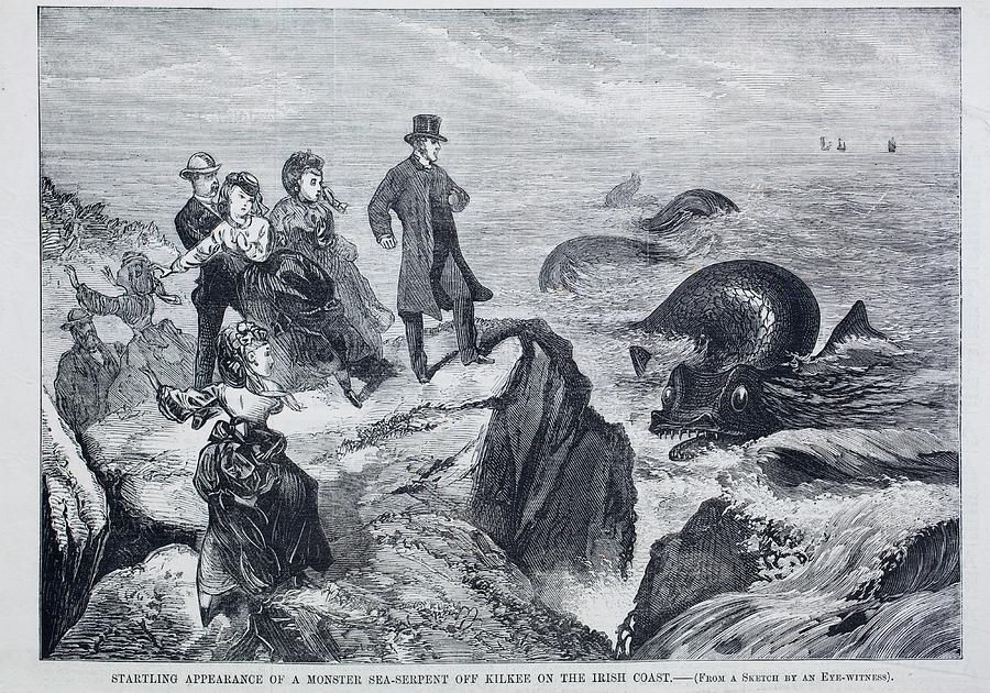 1871 Kilkee Irish Sea Monster Serpent Photograph by Paul D Stewart