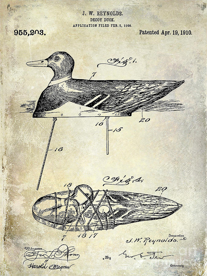 1910 duck Decoy Patent Drawing Photograph by Jon Neidert