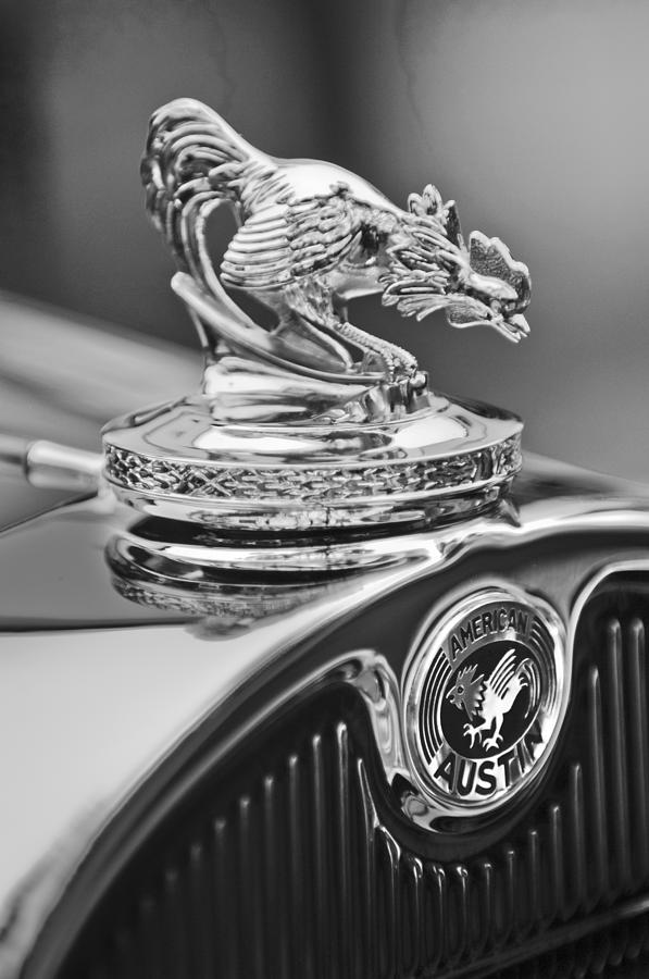 Black And White Photograph - 1931 American Austin Roadster Hood Ornament #2 by Jill Reger