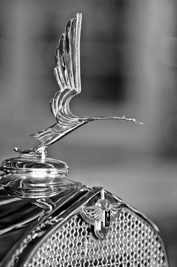 1931 LaSalle Hood Ornament Photograph by Jill Reger - Fine Art America