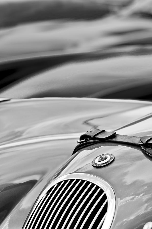 1952 Jaguar XK 120 John May Speciale Hood Emblem Photograph by Jill Reger