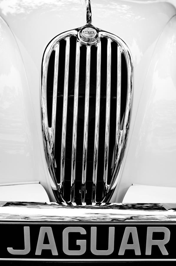 1955 Jaguar Grille Emblem Photograph by Jill Reger