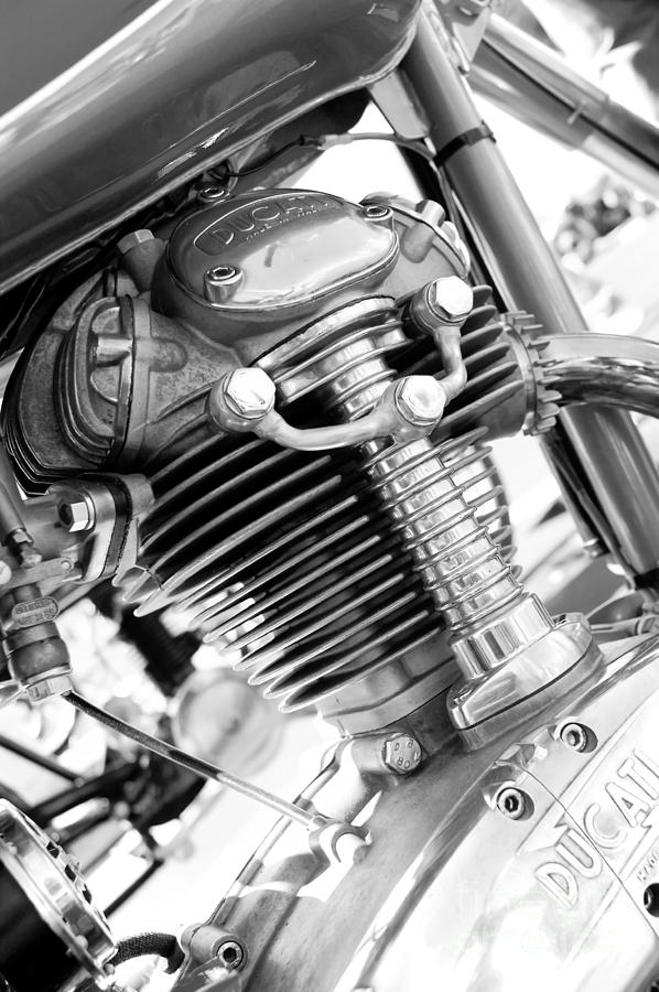 1959 Ducati Americano Photograph by Marley Holman