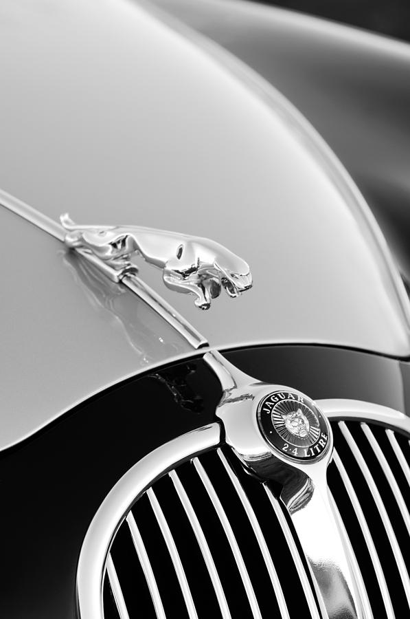 Car Photograph - 1960 Jaguar Mk II 2.4-liter Saloon Grille Emblem - Hood Ornament by Jill Reger