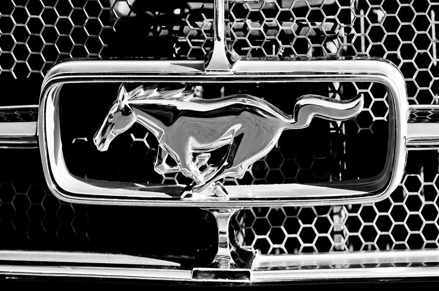 1965 Ford Shelby Mustang Grille Emblem Photograph by Jill Reger