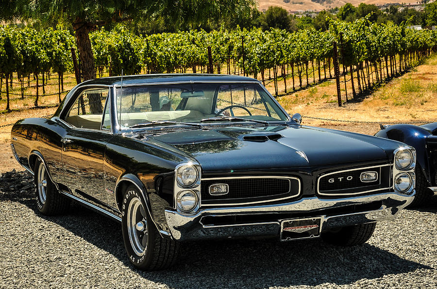 1965 Pontiac Gto Photograph By Ed Hughes