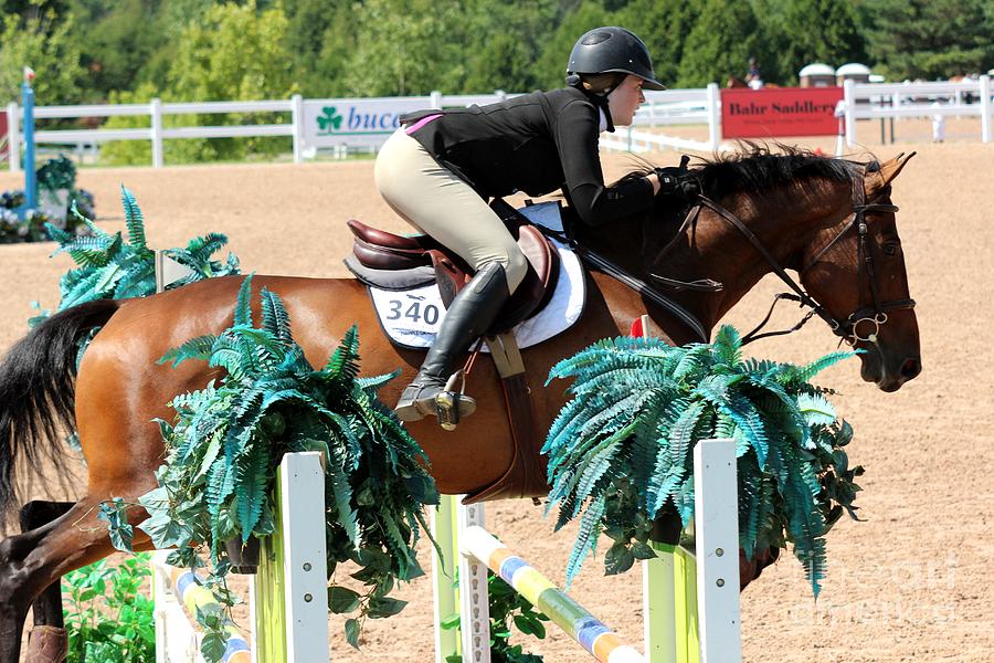 1jumper101 Photograph by Janice Byer