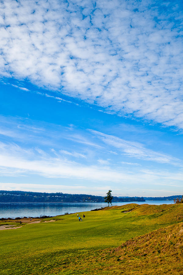 #2 at Chambers Bay Golf Course - Location of the 2015 U.S. Open Tournament #1 Photograph by David Patterson