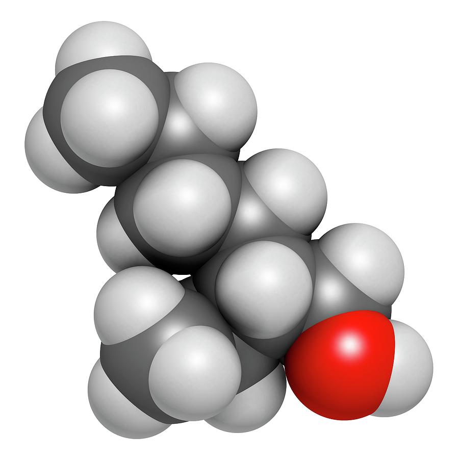 Ethyl Photograph - 2-ethylhexanol Molecule #1 by Molekuul