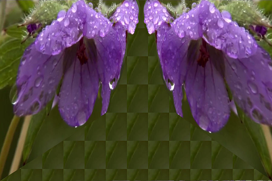 Butterfly Mixed Media - 2 purple Flowers turn into Butterfly #1 by Navin Joshi