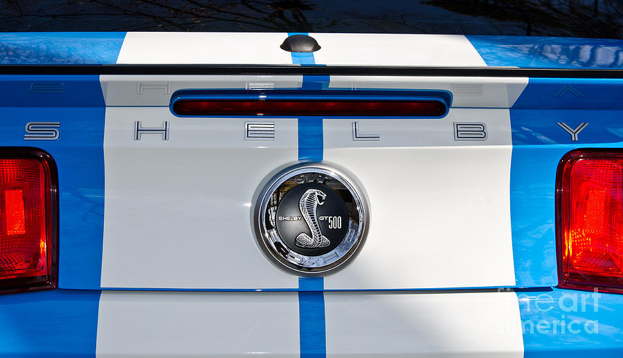 2010 Shelby GT500 #1 Photograph by Paul Mashburn