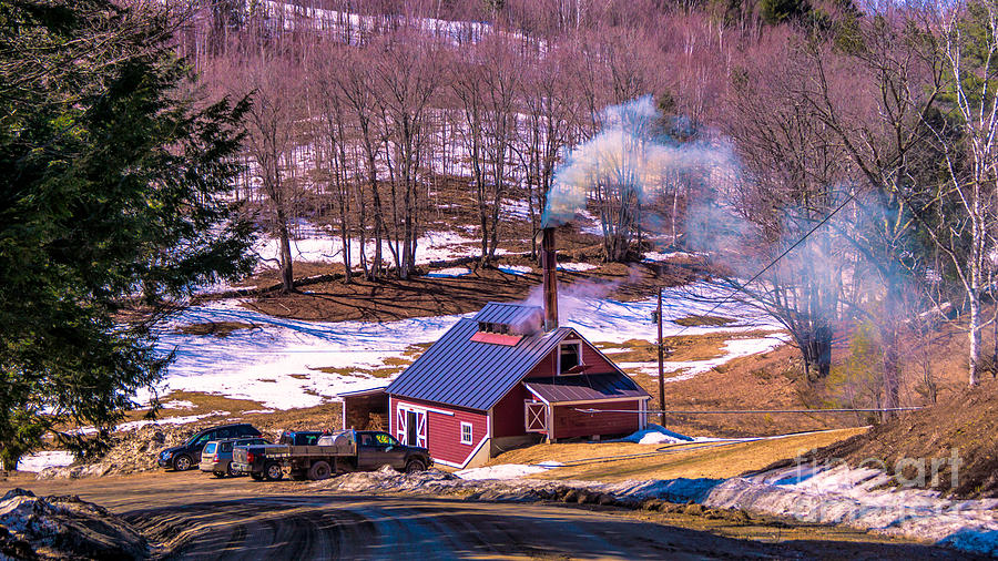 Sugaring season in Vermont #3 Photograph by New England Photography