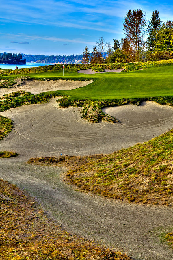#3 at Chambers Bay Golf Course - Location of the 2015 U.S. Open Championship #1 Photograph by David Patterson