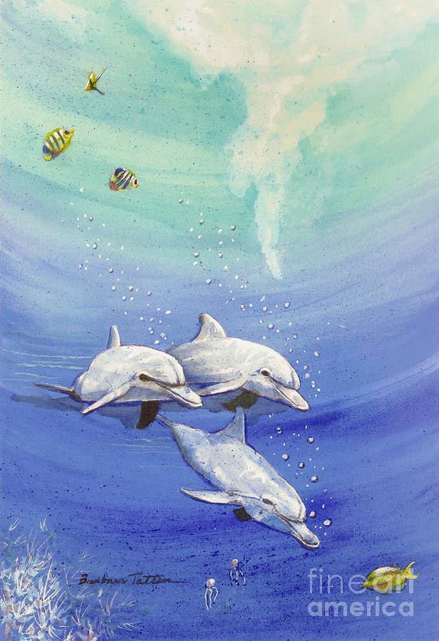 3 Dolphins by Barbara Totten