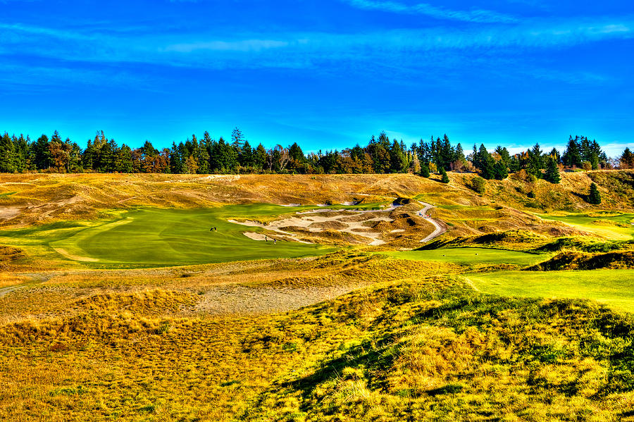 #4 at Chambers Bay Golf Course - Location of the 2015 U.S. Open Championship #1 Photograph by David Patterson