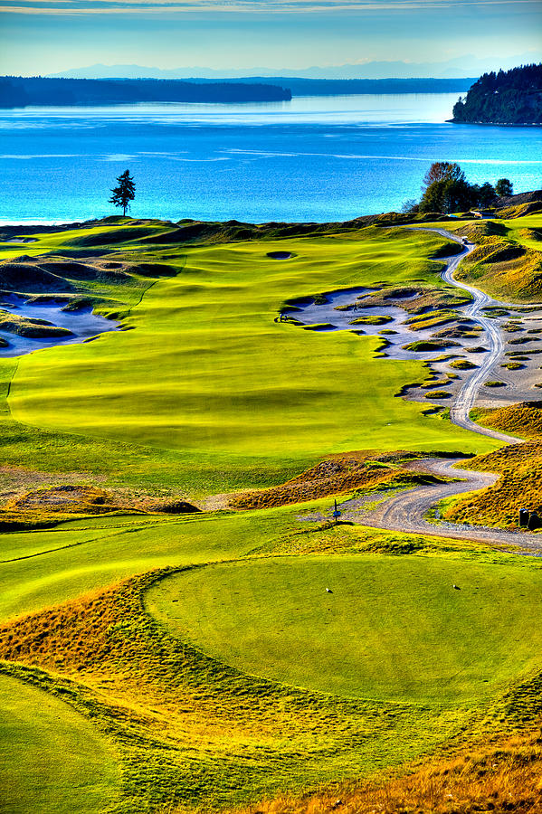 Golf Photograph - #5 at Chambers Bay Golf Course - Location of the 2015 U.S. Open Tournament #1 by David Patterson