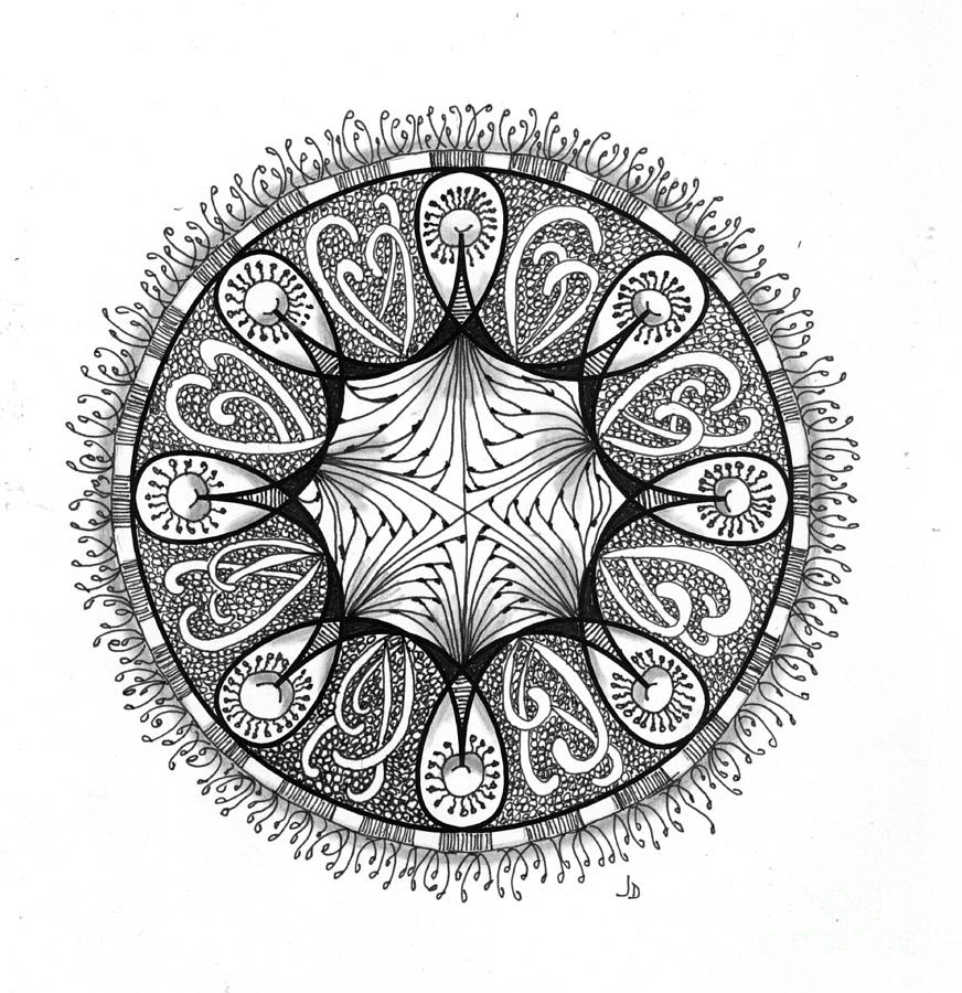 1 - 8 Pt Symmetry Drawing by Jeaanne Donovan