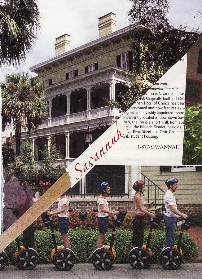 Collage Mixed Media - 1-877-Savannah by Matthew Hoffman Collage Mixed Media - 1-877-Savannah by Matthew Hoffman